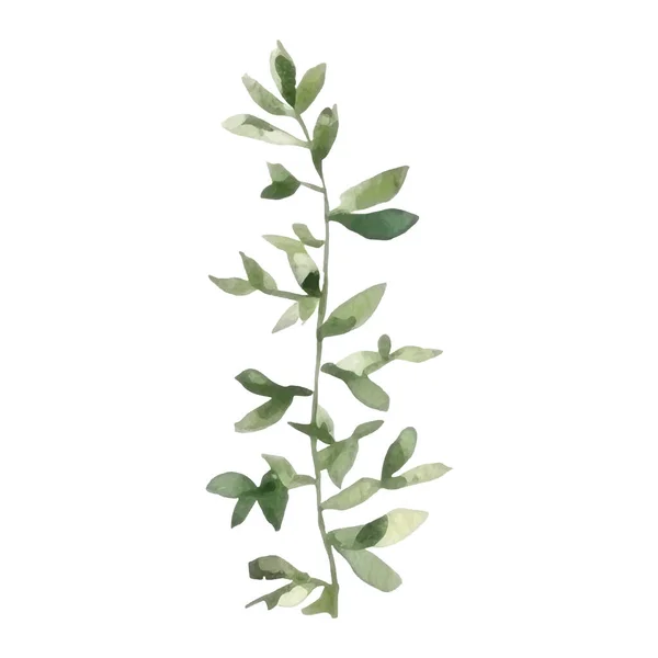 꽃꽂이 나뭇잎 가지와 식물적 결혼식을 꽃꽂이 디자인 일러스트 — 스톡 벡터