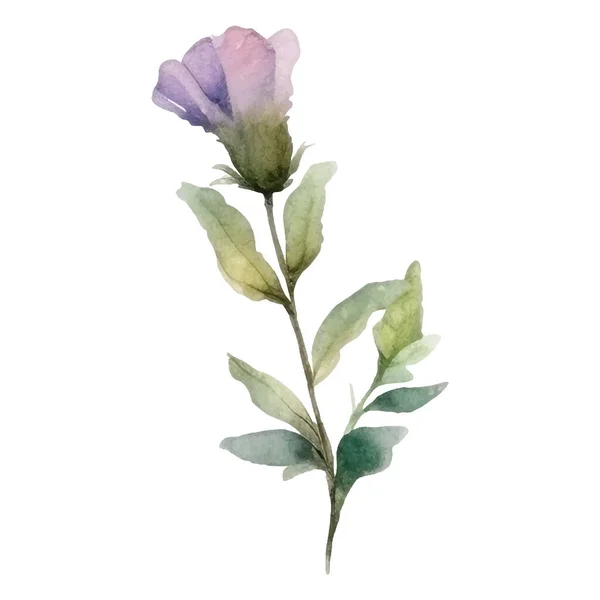 Blommig Dekoration Set Botaniska Arrangemang Med Rgglada Blommor Blad Gren — Stock vektor