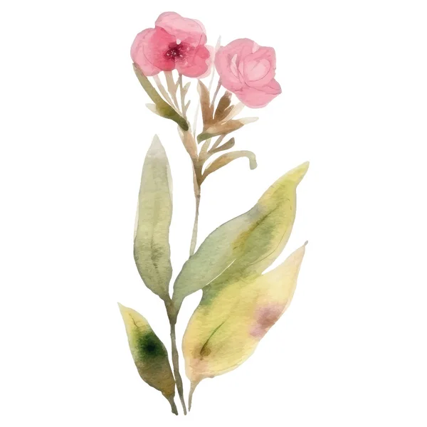 Квітковий Декоративний Набір Ботанічні Композиції Різнокольоровими Квітами Листям Гілкою Квіткові — стоковий вектор