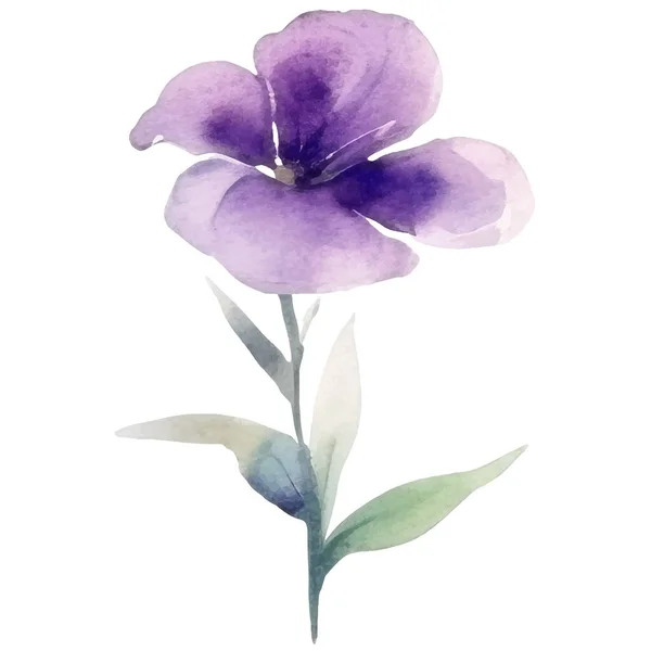 Blommig Dekoration Set Botaniska Arrangemang Med Rgglada Blommor Blad Gren — Stock vektor