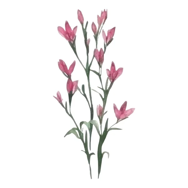 植物装饰套件 植物排列与五彩缤纷的花朵 用于婚礼 贺卡或标志构图设计的花卉元素 矢量说明 — 图库矢量图片