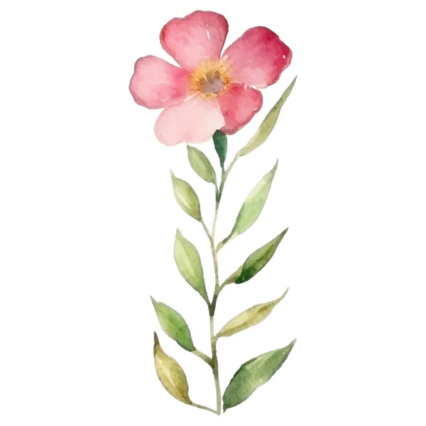 Blumenschmuckset Vorhanden Botanische Arrangements Mit Bunten Blüten Blatt Zweig Blumenelemente — Stockvektor