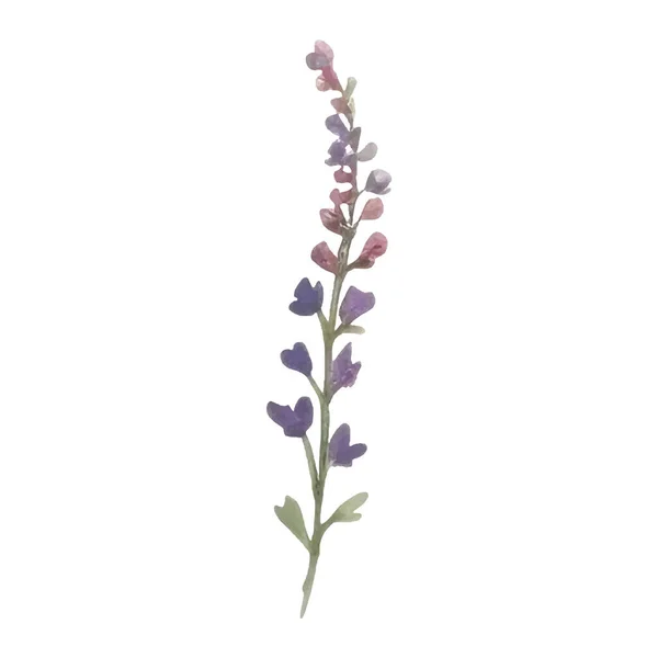 Set Décoration Florale Arrangements Botaniques Avec Des Fleurs Colorées Feuille — Image vectorielle