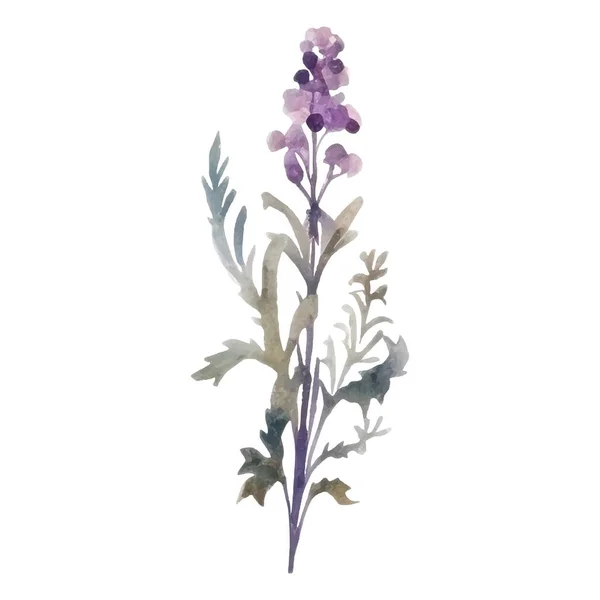 Floral Σετ Διακόσμησης Βοτανικές Συνθέσεις Πολύχρωμα Λουλούδια Φύλλα Κλαδιά Λουλούδια — Διανυσματικό Αρχείο