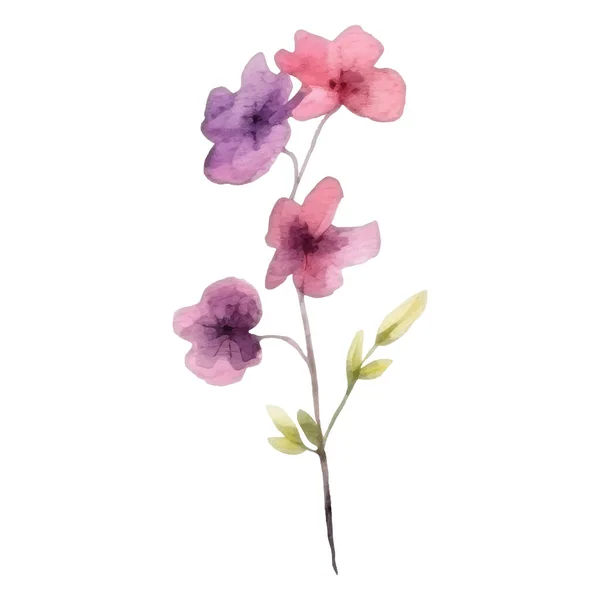 Conjunto Decoração Floral Arranjos Botânicos Com Flores Coloridas Folha Ramo — Vetor de Stock