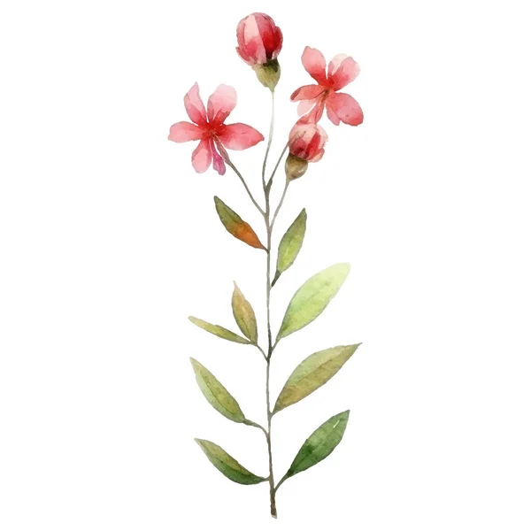Blumenschmuckset Vorhanden Botanische Arrangements Mit Bunten Blüten Blatt Zweig Blumenelemente — Stockvektor