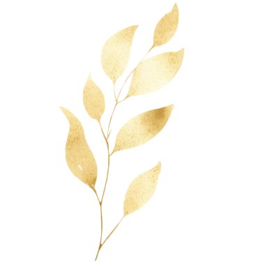 Suluboya el, Altın Yaprak Yazısı 'nı boyamış. Çiçek süsleme elementleri beyaz arkaplanda izole