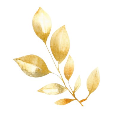 Suluboya el, Altın Yaprak Yazısı 'nı boyamış. Çiçek süsleme elementleri beyaz arkaplanda izole