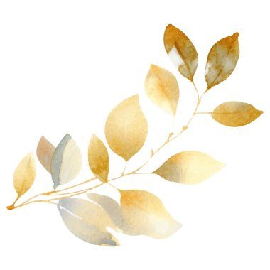 Suluboya el, Altın Yaprak Yazısı 'nı boyamış. Çiçek süsleme elementleri beyaz arkaplanda izole