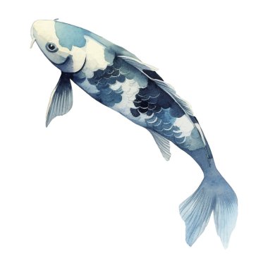 Suluboya el resmi Koi Balığı Çizimi. Beyaz arkaplanda Japon tarzı elementler izole edildi