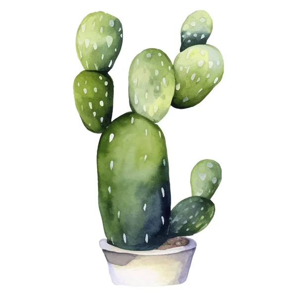 Kaktus Akvarell Illustrationsuckulent Och Kaktustryck Element — Stock vektor