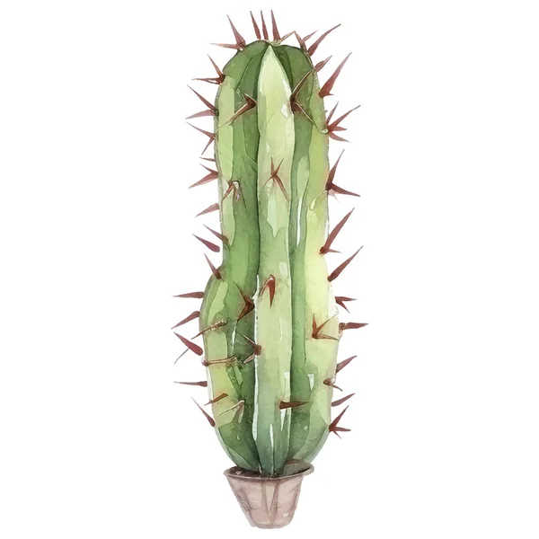 Kaktus Aquarell Illustration Sukkulente Und Kakteen Drucke Elemente — Stockvektor