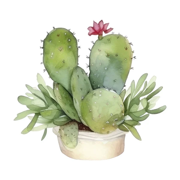 Cactus Watercolor Illustration Succulent Cacti Imprime Elementos — Vetor de Stock