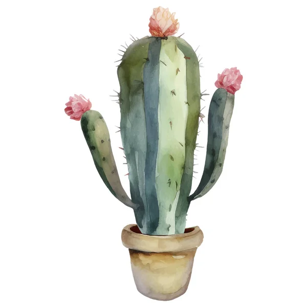 Cactus Watercolor Illustration Succulent Cacti Prints Elements — Stock Vector