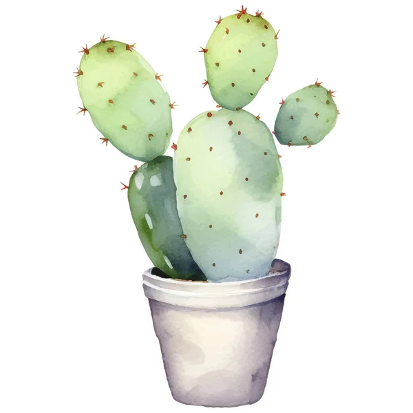 Cactus Watercolor Illustration Succulent Cacti Imprime Elementos — Vetor de Stock