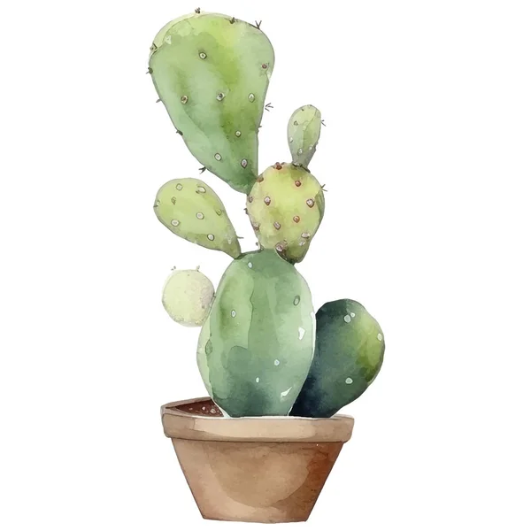 Kaktusz Akvarell Illusztráció Succulent Kaktusznyomatok Elemek — Stock Vector