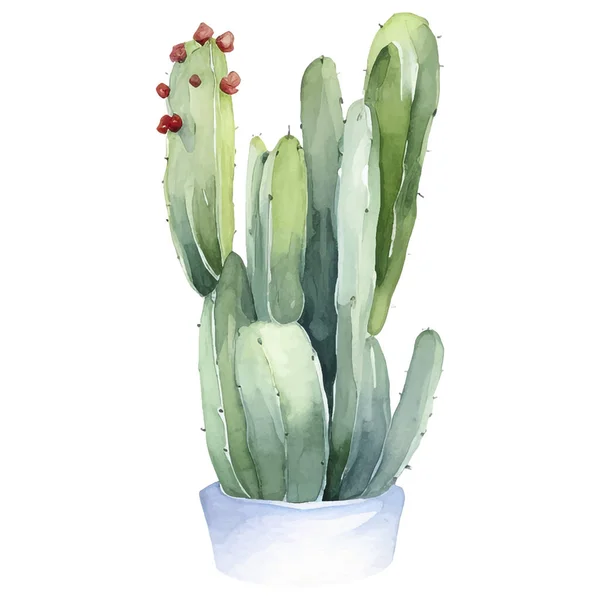 Cactus Acuarela Ilustración Elementos Impresión Cactus Cactus — Archivo Imágenes Vectoriales