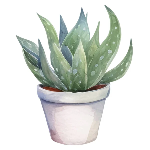 Cactus Watercolor Illustration Succculent Cacti Prints Elements — 스톡 벡터
