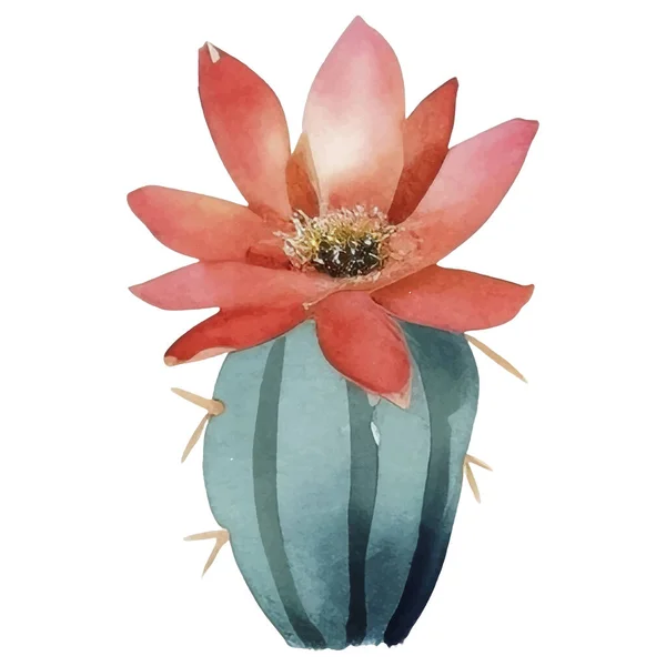 Cactus Watercolor Illustration Succulent Cacti Prints Elements — стоковый вектор