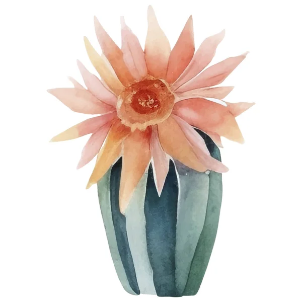 Cactus Watercolor Illustration Succulent Cacti Prints Elements — стоковый вектор