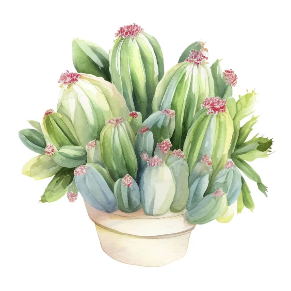 Kaktusové Akvarelové Ilustrace Sukulentní Kaktusové Prvky — Stockový vektor