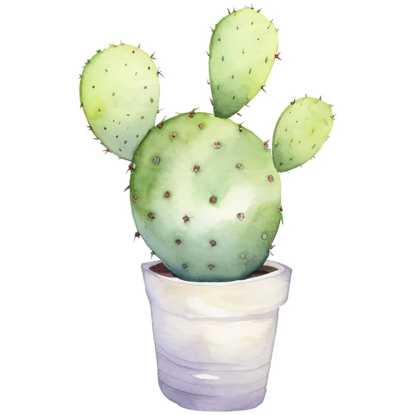 Kaktus Akvarell Illustrationsuckulent Och Kaktustryck Element — Stock vektor