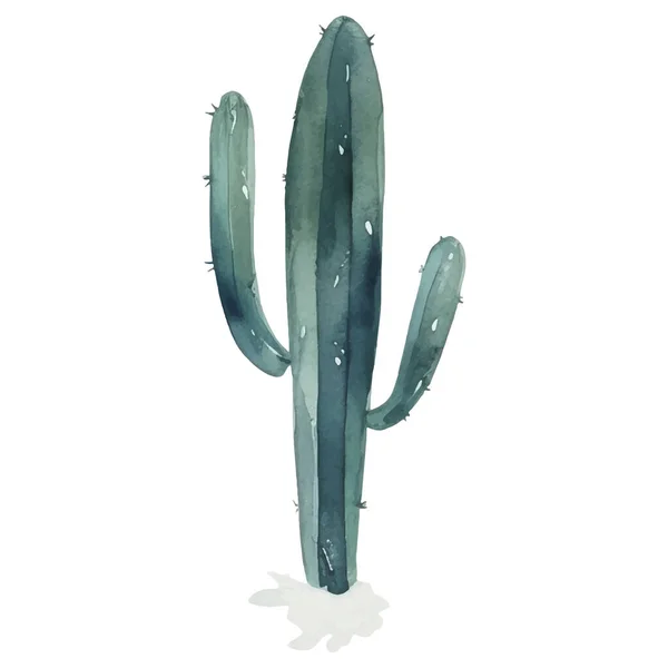 Illustrazione Acquerello Cactus Elementi Stampa Succulenti Cactus — Vettoriale Stock
