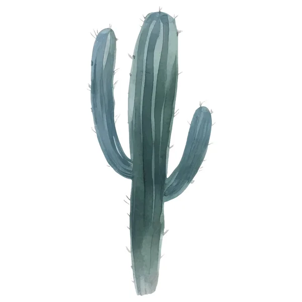 Kaktusz Akvarell Illusztráció Succulent Kaktusznyomatok Elemek — Stock Vector