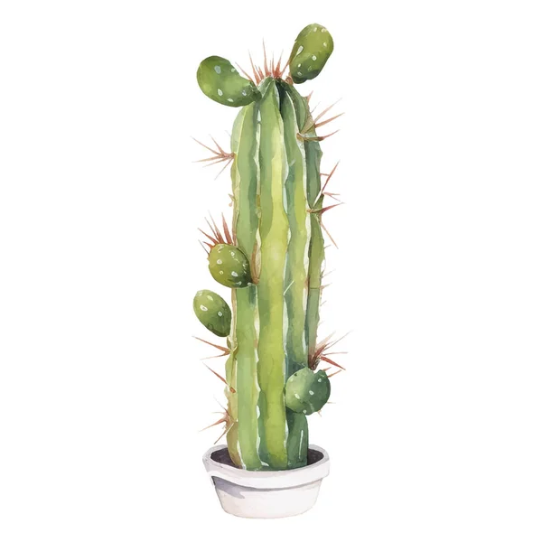 Illustration Aquarelle Cactus Éléments Impression Ucculents Cactus — Image vectorielle