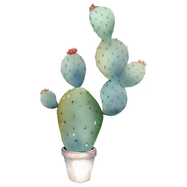 Cactus Aquarel Illustratie Sappige Cactussen Prenten Elementen — Stockvector