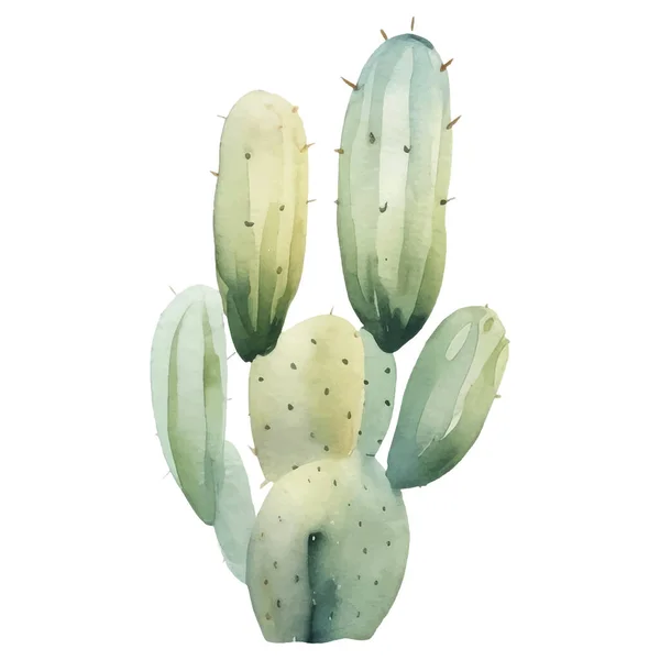 Kaktus Aquarell Illustration Sukkulente Und Kakteen Drucke Elemente — Stockvektor