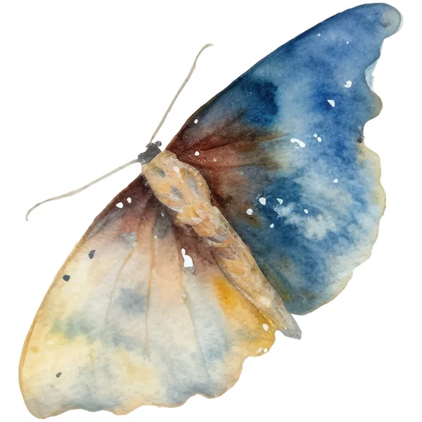 Aquarell Schmetterling Und Motte Vintage Illustration Insektenillustration Für Verpackung Scrapbooking — Stockvektor
