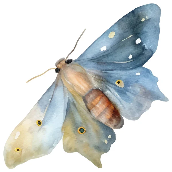 Aquarel Vlinder Vlinder Vintage Illustratie Insecten Illustratie Voor Het Inpakken — Stockvector