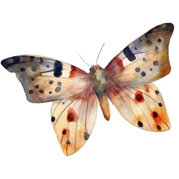 水彩蝴蝶和蛾 古董画 剪贴和卡片设计的昆虫图解 — 图库矢量图片
