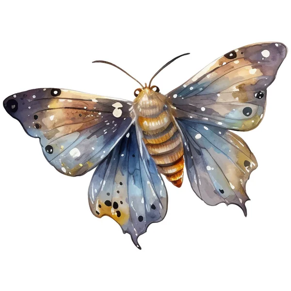 Метелик Акваріум Метелик Приклад Вінтажу Ілюстрація Комах Обгортання Подрібнення Карток — стоковий вектор