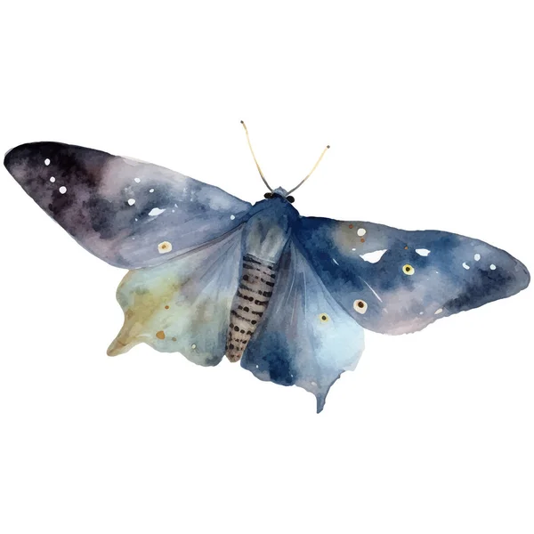 Akvarell Fjäril Och Moth Vintage Illustration Insekt Illustration För Inslagning — Stock vektor