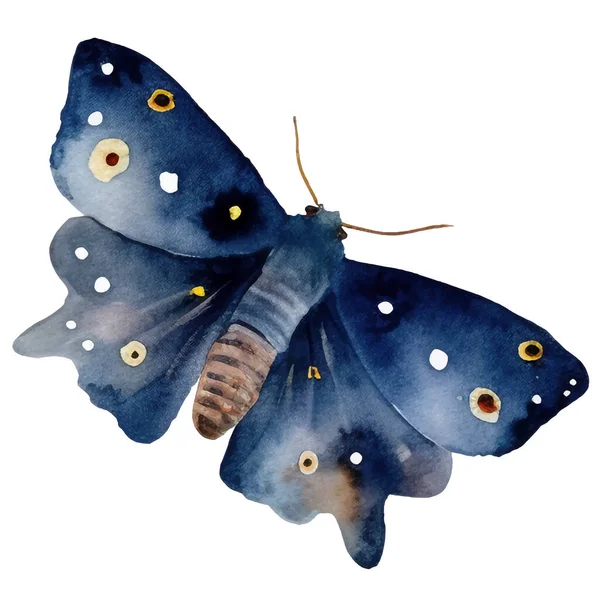 Aquarelle Papillon Teigne Illustration Vintage Illustration Insectes Pour Emballage Scrapbooking — Image vectorielle