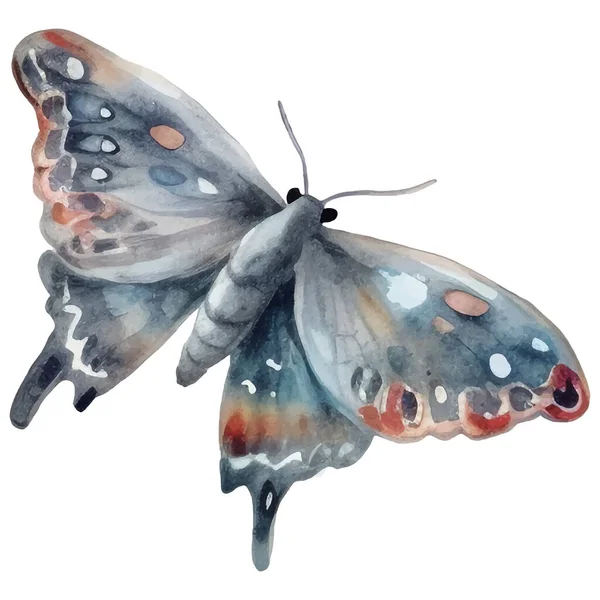 Akwarelowy Motyl Moth Klasyczna Ilustracja Ilustracja Owadów Pakowania Scrapbookingu Projektowania — Wektor stockowy