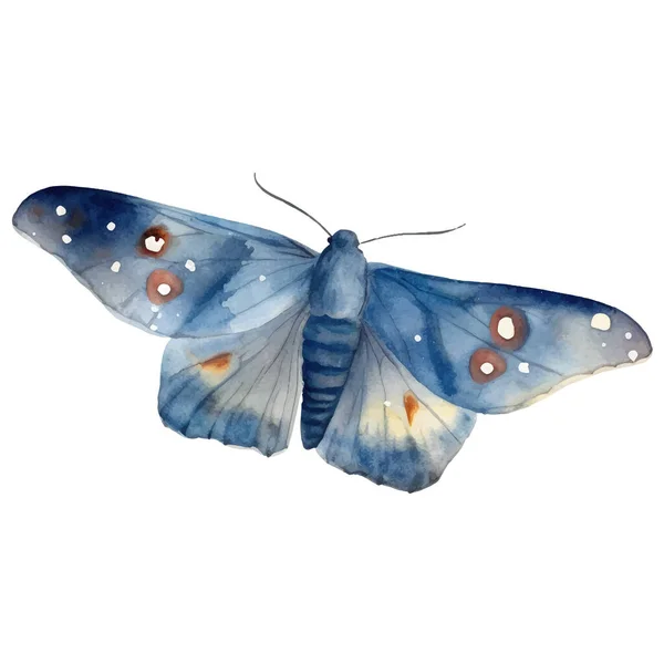 Aquarelle Papillon Teigne Illustration Vintage Illustration Insectes Pour Emballage Scrapbooking — Image vectorielle