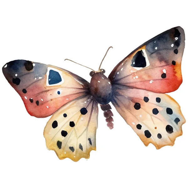 Mariposa Polilla Acuarela Ilustración Vintage Ilustración Insectos Para Envoltorio Scrapbooking — Vector de stock