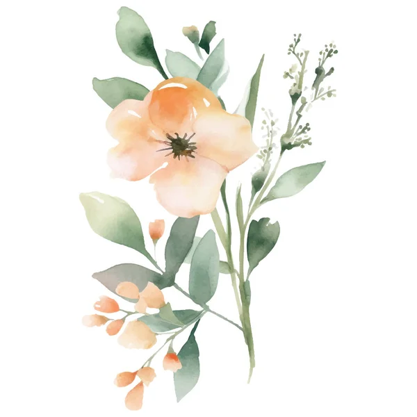 水彩画手绘花卉插图 在白色背景上孤立的花卉装饰元素 — 图库矢量图片
