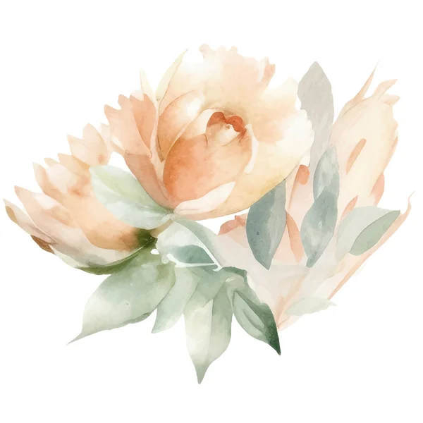 Watercolor Pintado Mão Ilustração Flor Elementos Decoração Floral Isolados Sobre — Vetor de Stock