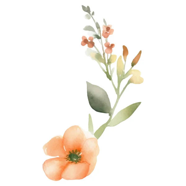 Aquarell Handgemalte Blumenillustration Florale Dekorationselemente Isoliert Auf Weißem Hintergrund — Stockvektor