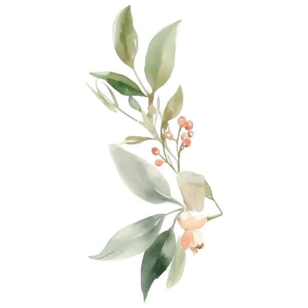 Suluboya Elle Boyanmış Çiçek Çizimi Çiçek Süsleme Elementleri Beyaz Arkaplanda — Stok Vektör