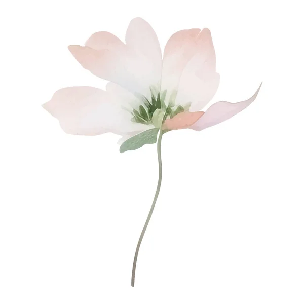 Akwarela Ręcznie Malowane Ilustracja Kwiat Elementy Dekoracji Kwiatowej Izolowane Białym — Wektor stockowy