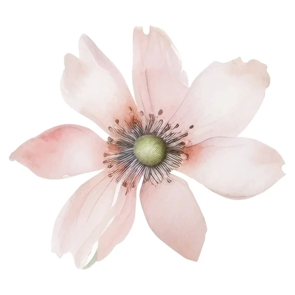 Akwarela Ręcznie Malowane Ilustracja Kwiat Elementy Dekoracji Kwiatowej Izolowane Białym — Wektor stockowy