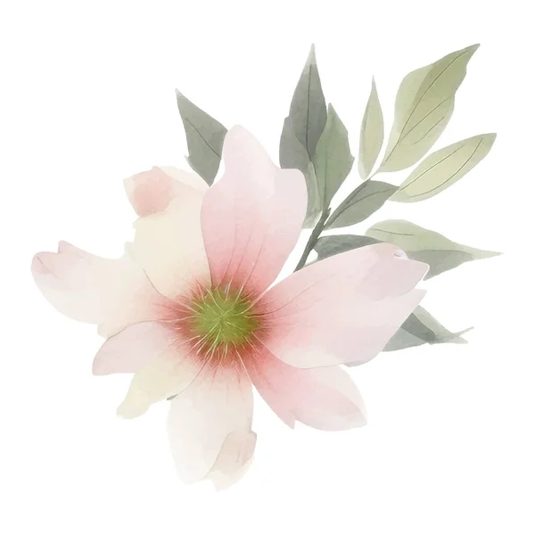 水彩画手绘花卉插图 在白色背景上孤立的花卉装饰元素 — 图库矢量图片