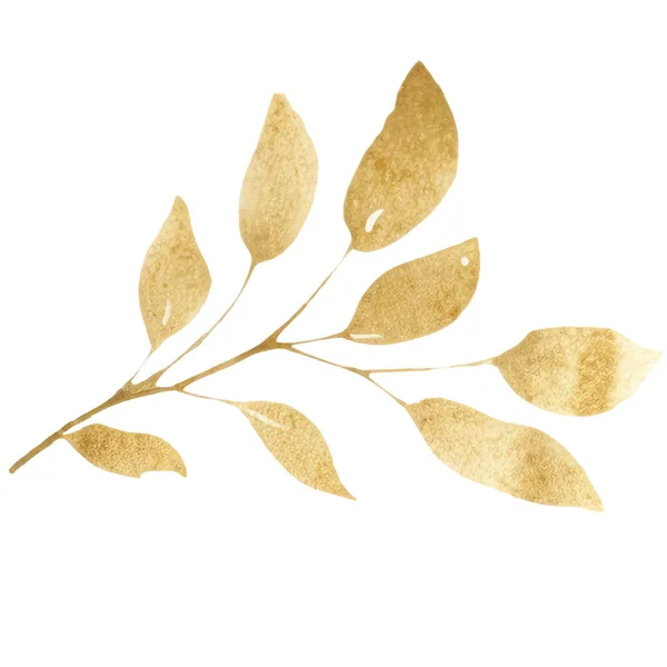 Suluboya Altın Yaprak Yazısı Boyamış Çiçek Süsleme Elementleri Beyaz Arkaplanda — Stok Vektör