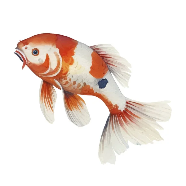 Watercolor Pintado Mão Koi Fish Illustration Elementos Estilo Japonês Isolado — Vetor de Stock