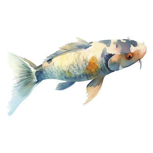 Aquarell Handbemalte Koi Fisch Illustration Elemente Des Japanischen Stils Isoliert — Stockvektor